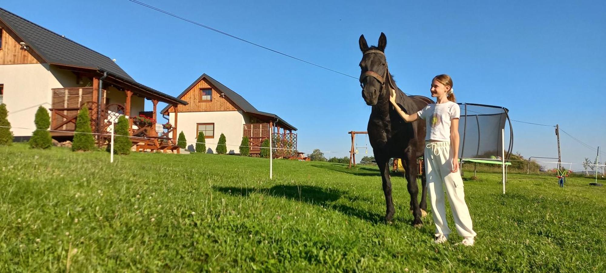 Komfortowe Domki Z Kominkiem Limanowa - Nowy Sacz Zewnętrze zdjęcie